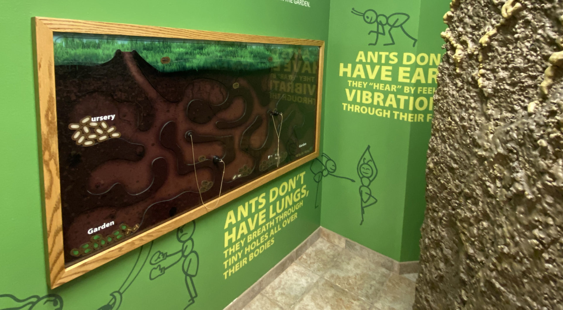 Washington County Conservation Magnetic Interactive Ant Game