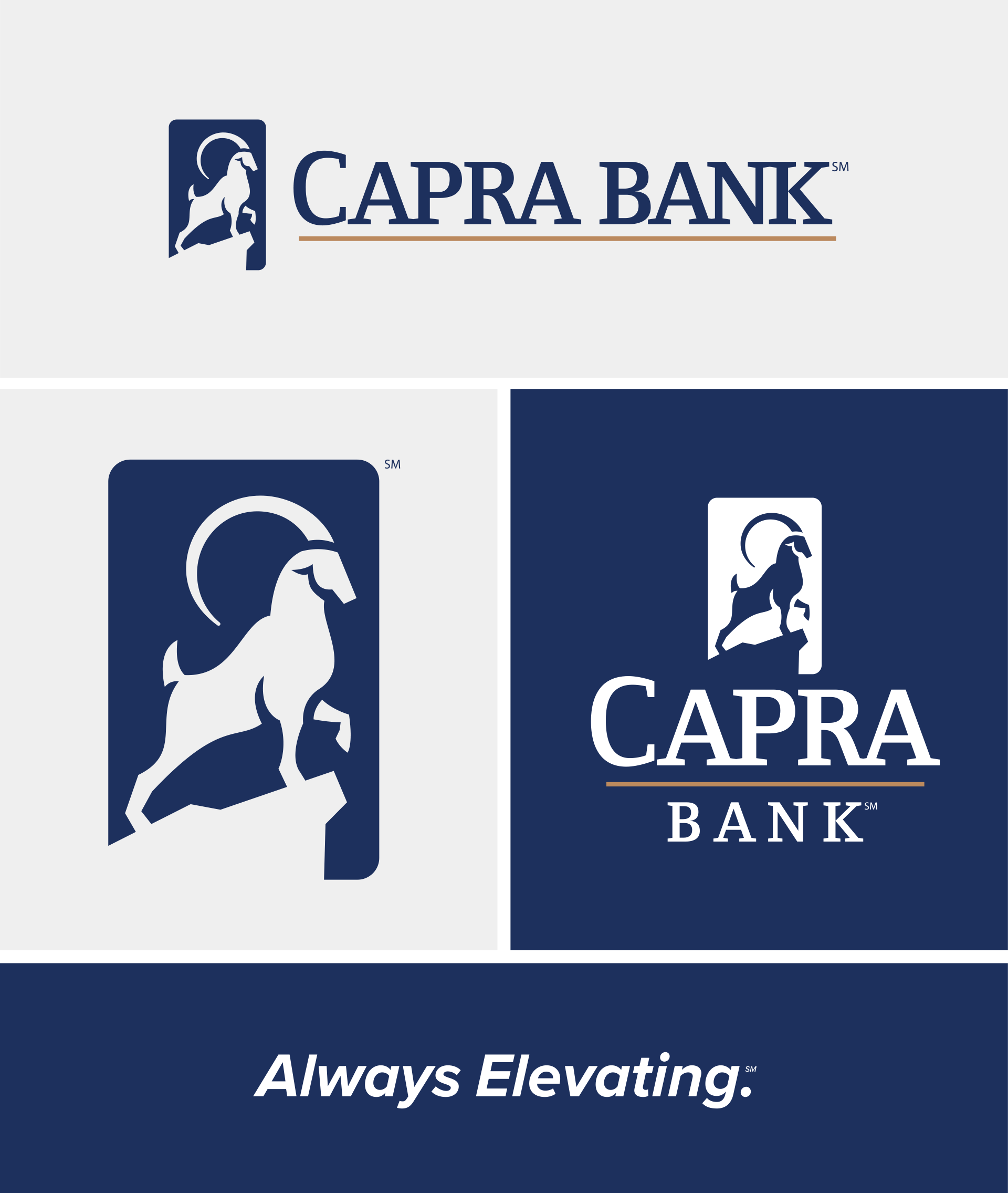 Capra Bank Brand Development