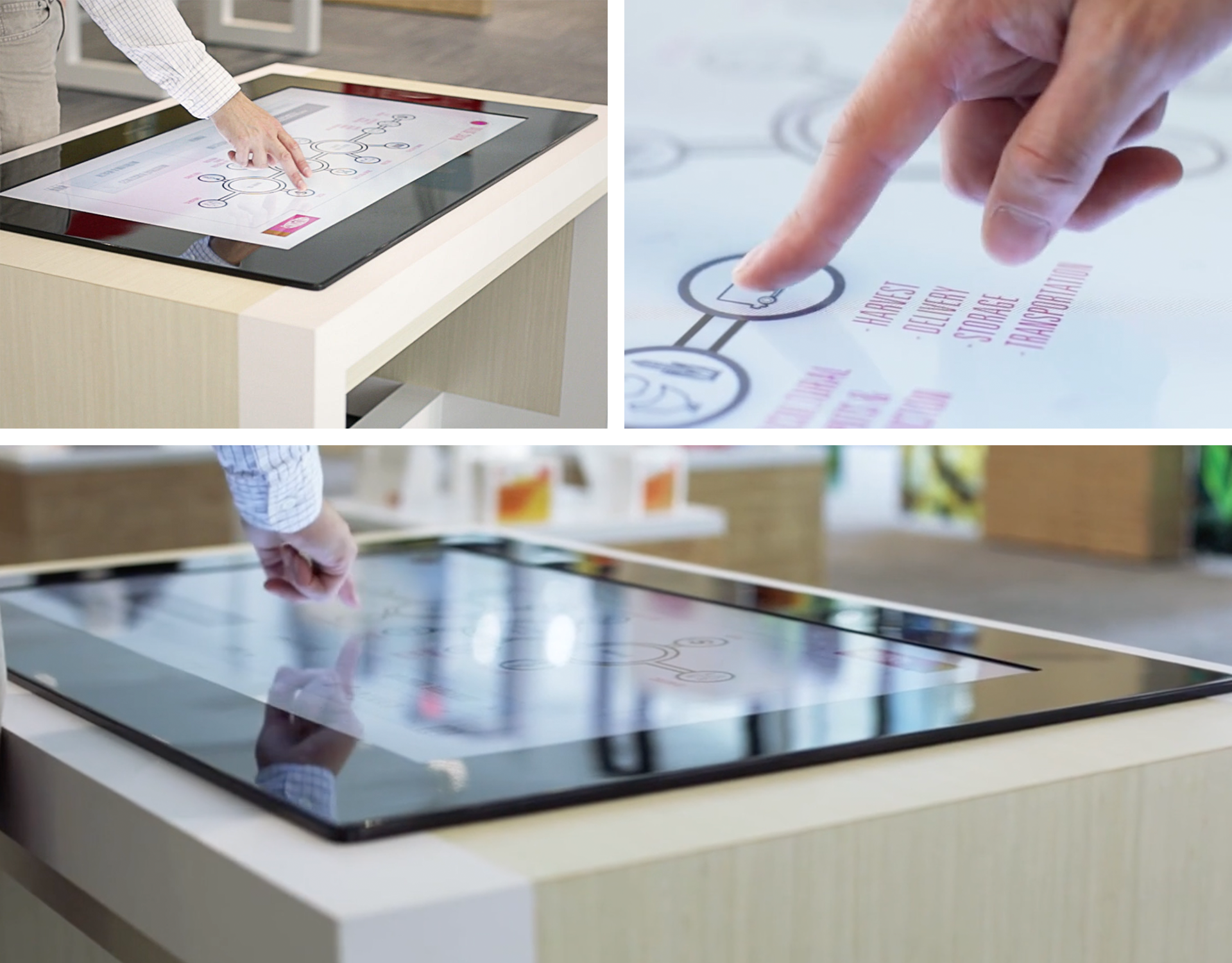 DuPont Pioneer Innovation Center Touchscreen Interactives