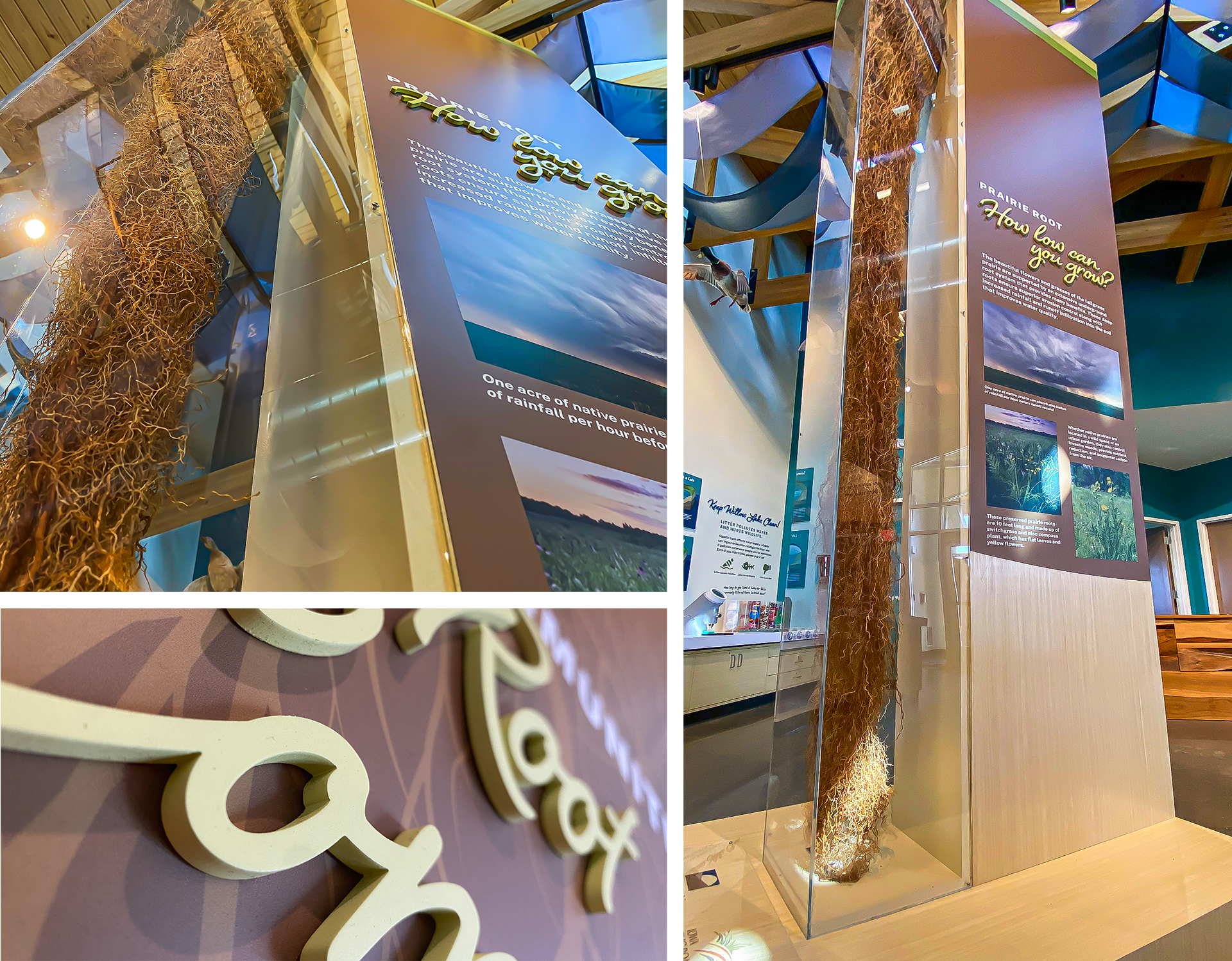 Harrison County Conservation Willow Lake Nature Center Root Display