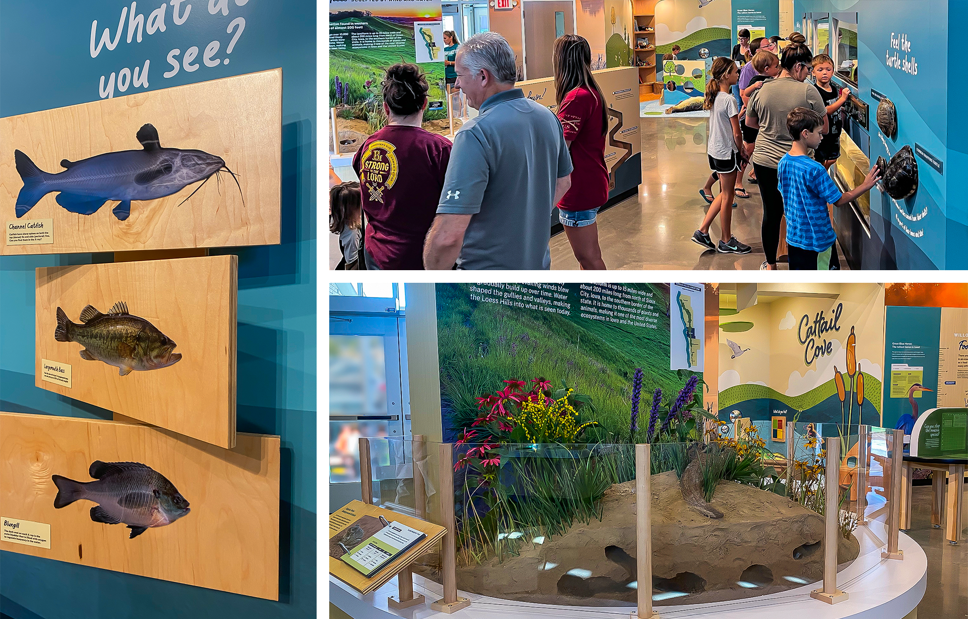 HarrisonCountyConservation-NatureCenter_3