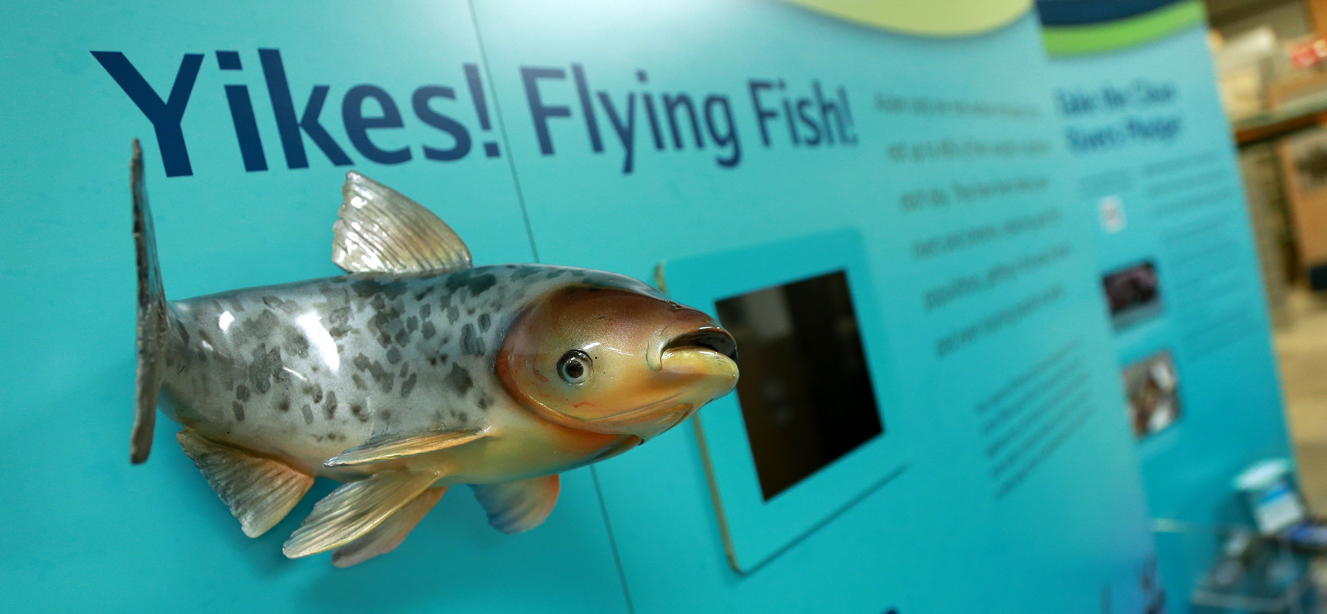 National Mississippi River Museum & Aquarium Aquatic Invaders Traveling Exhibit