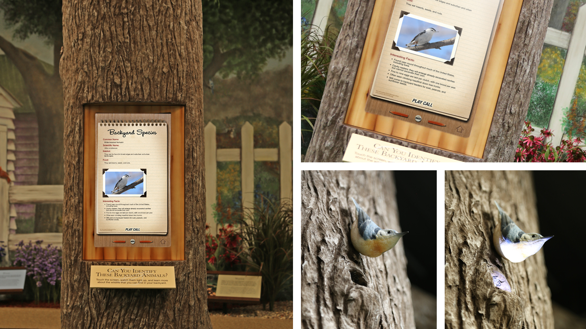 Muscatine County Conservation Nature Center