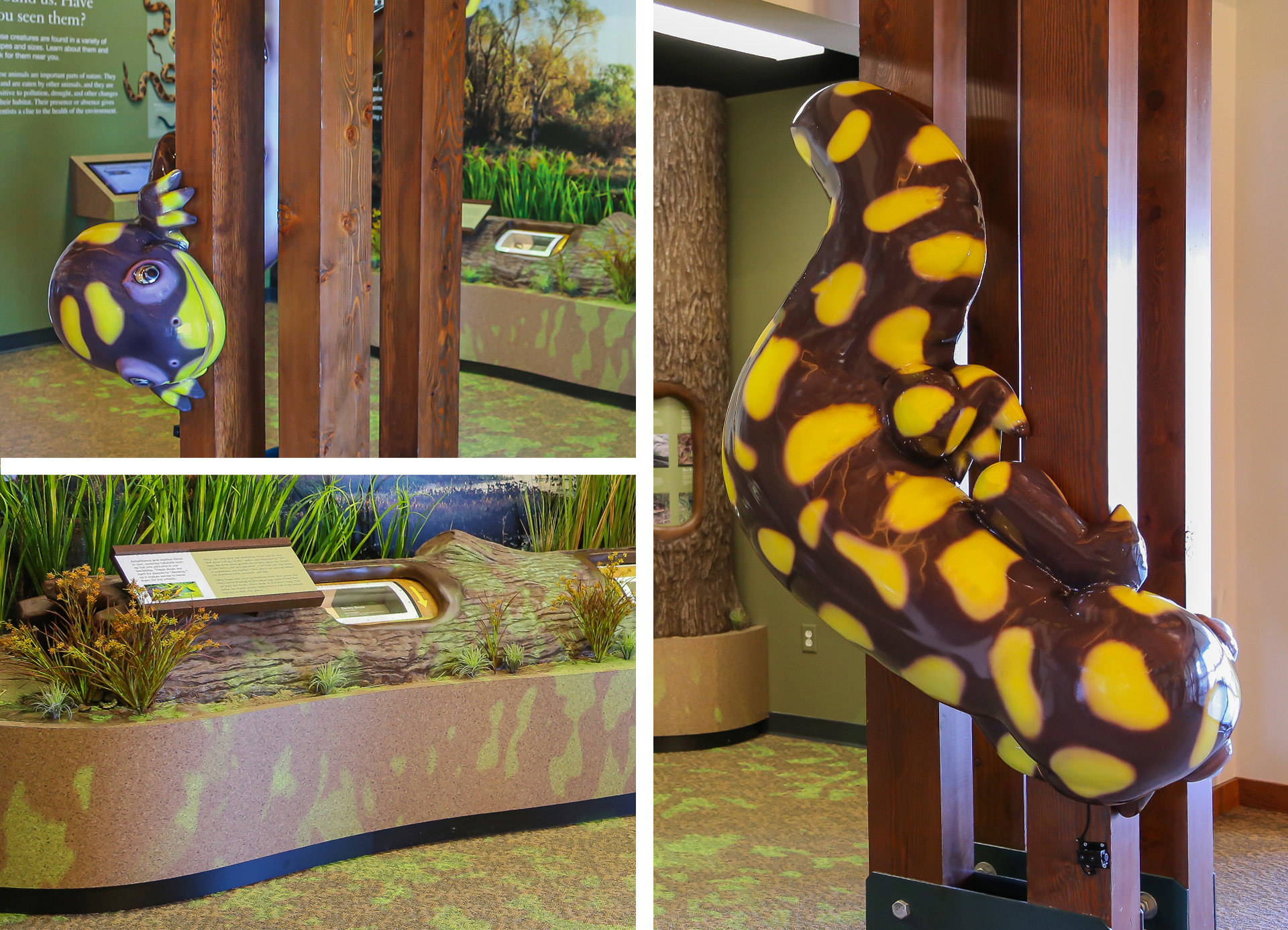 Muscatine County Conservation Nature Center