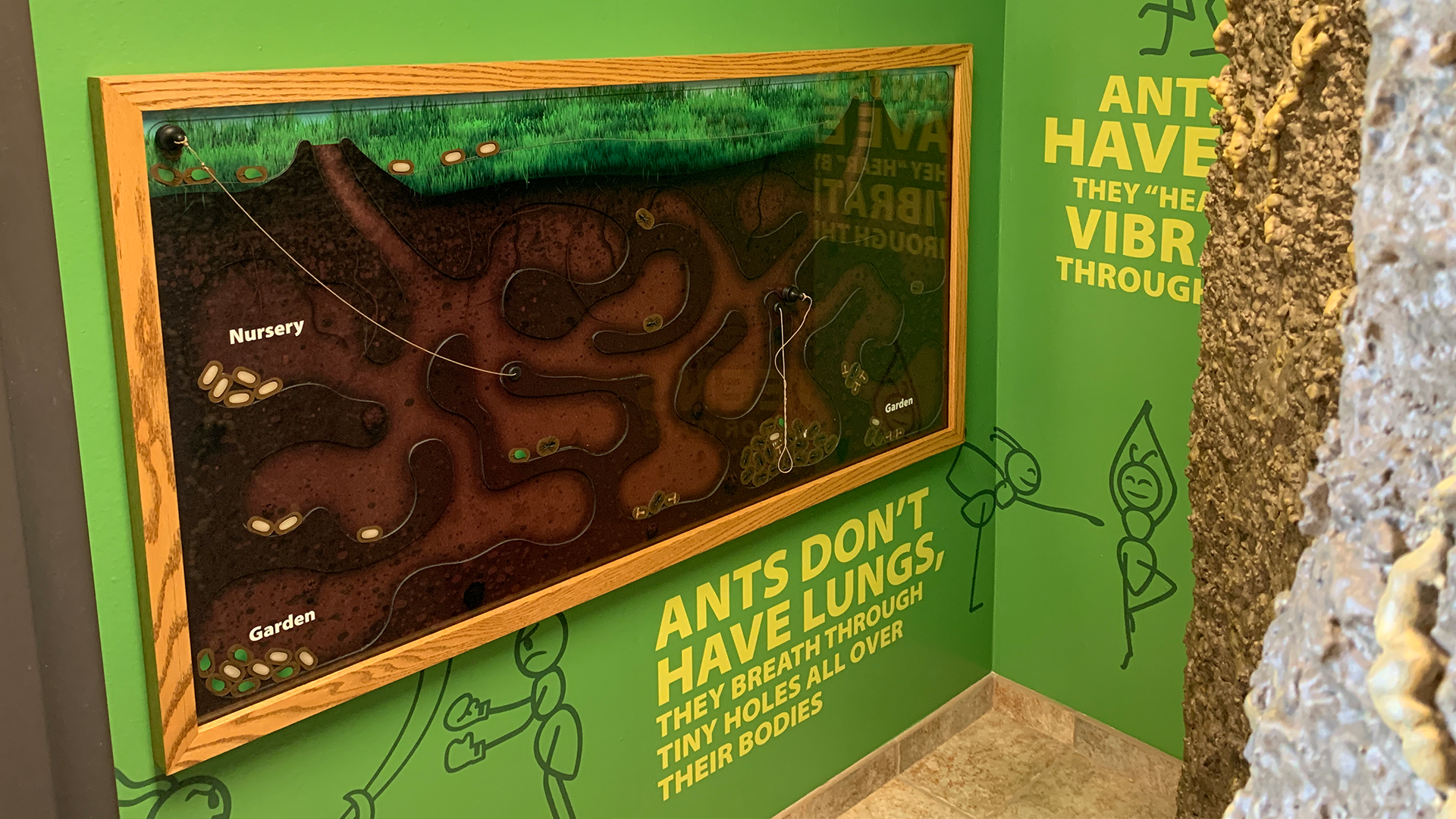 Washington County Conservation Nature Center