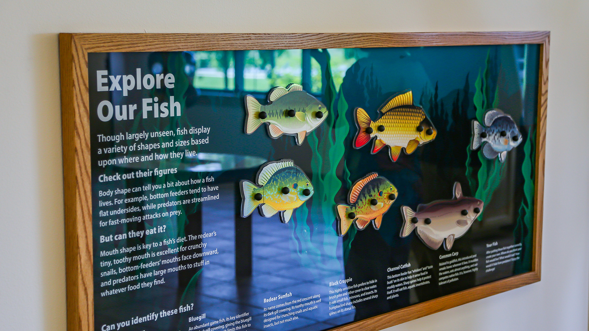 Washington County Conservation Nature Center