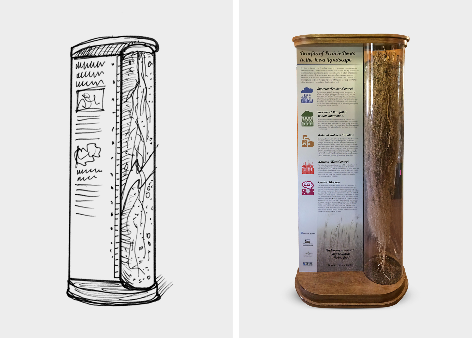 PrairieRivers Of Iowa Root Display